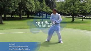 Master Ma, Long - Art Taiji - Section 3