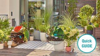 Das GARDENA Micro-Drip-System: Tropfbewässerung Set für die Terrasse