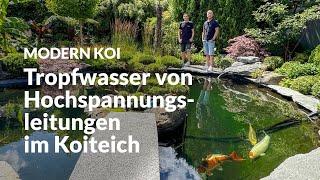 Eine Hochspannungsleitung direkt über Thorsten und Timos’ Teich | Modern Koi Blog #7087