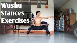 Wushu Stances Exercises for SOLID and BETTER Wushu Play (Chang Quan, Nan Quan, Tai ji)