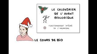 J23 calendrier de l’avent biologique - fonctionnement intégré de l’organisme