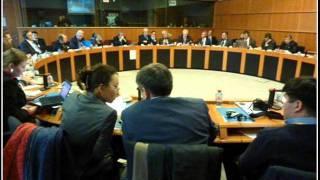 Hamid Ait Abderrahim - The Strategy of the EU in Central Asia, roundtable at PE