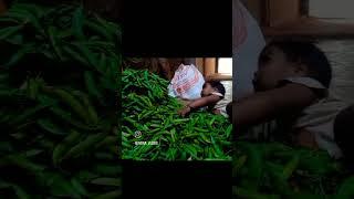 Childhood Masti Cute Girl | Smile Photo Studio |
