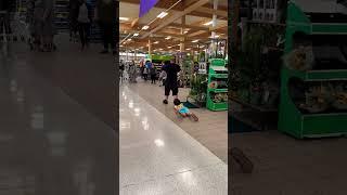  Toddler’s Tantrum and the Tenacious Tug in Sainsbury’s #shorts