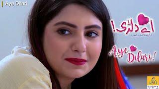 Aye Dilari || Clip - 64 || Best Drama Scene #shehrozsabzwari #anumfayyaz #WasebTV