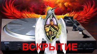 ФЕНИКС   2-я часть. Внутренности