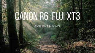 Silent Photography and Solo Hiking with Fuji XT3 | Canon R6 | Cinematic