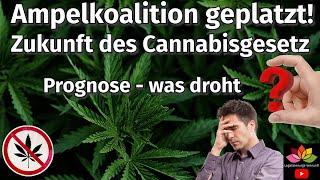 Ampelkoalition geplatzt - Zukunft Cannabisgesetz & Entkriminalisierung Änderungen/Rücknahme? Infos