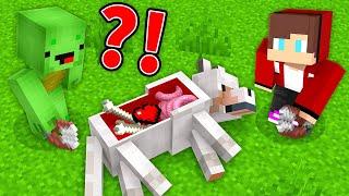 Mikey and JJ Became VETS in Minecraft Maizen