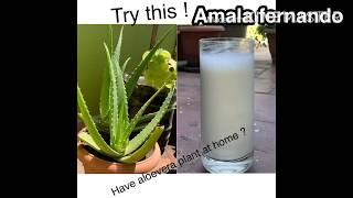 Simple aloe vera juice to try at home | summer | Amala Fernando