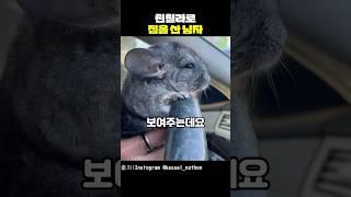 친칠라로 집을 산 남자