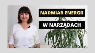 Jak znaleźć nadmiary energii w konkretnych narządach? | PUNKTY ALARMOWE