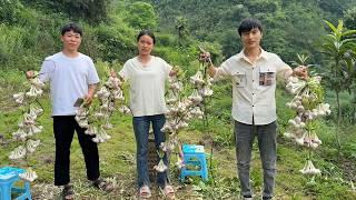 勤劳的妈妈，每天眼睛睁开就忙个不停，去年种下的大蒜又迎来了大丰收，今年一年不用买大蒜了