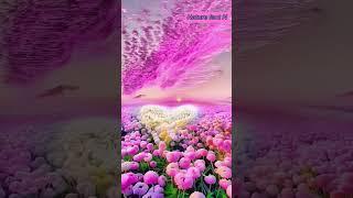 Most Trending nature videovery beautiful nature videos #sortfeed #factsort #trendingshorts #travel