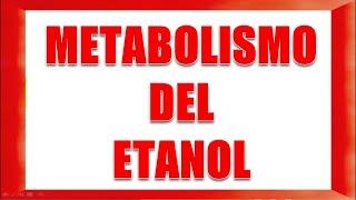 METABOLISMO DEL ETANOL