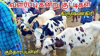 22-12-2023 kundarapalli Friday market / Hf cow jersey cow market Krishnagiri 