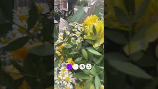 Цитата  #статус #людисудьбы #мысливслух #