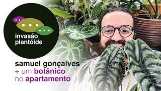 Um Botânico no Apartamento: Samuel Gonçalves - Invasão Plantóide - Flay