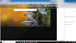 MuleSoft Training 100% Job Oriented Mule ESB Online Training