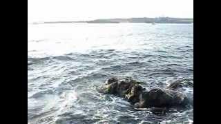 Море Севастополя