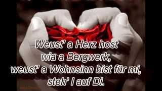 Weus'd a Herz host wia a Bergwerk - Rainhard Fendrich(lyrics)