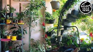 Gardening tales from the UAE: How to grow a kitchen garden in your balcony this summer