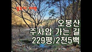 (영천착한부동산)NO.937/경주시 서면 도계리 오봉산 주사암 가는 길목 229평/2천5백만원