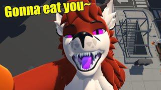 [FACE TRACKING] Furry ASMR Macro Wants to Eat You~