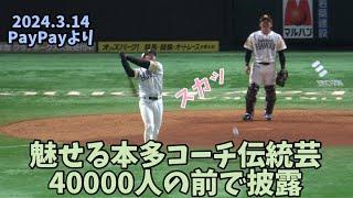 試合前の儀式豪快なる空振り復活球場内が爆笑の渦️ホークス本多コーチシートノックキャッチャーフライ2024.3.13️ソフトバンクホークス対巨人