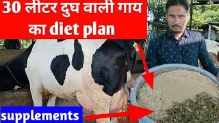 30 लीटर दुध वाली गाय का diet plan I feed formula for dairy cow l feed kaise banaye