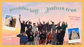 bouldering in joshua tree: v0-v3, chill session, and some pretty sunsets