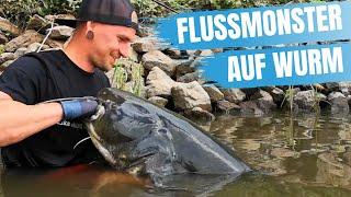 ► Welsangeln in Deutschland | 2,20m auf Tauwurm | Buhnenangeln mit U-Pose | DUDIS WORKSHOPS #4