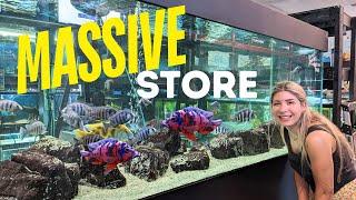 Amazing African Cichlid Store Tour in Canada // Finatics Aquarium