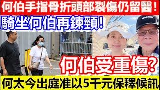 何氏夫婦互襲案同時被控傷人罪！何伯手指骨折頭部裂傷仍留醫！何太今出庭准以5千元保釋候訊！騎坐何伯再鍊頸！｜CC字幕｜Podcast｜日更頻道 #東張西望 #何太 #何伯 #李龍基