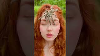 Spider  #alexandrabochkareva #redhead #redheadsstories #portrait #spider #spiderman