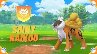 A Wild  Shiny Raikou  Appeared! [Pokemon GO Tour: Johto] #shorts