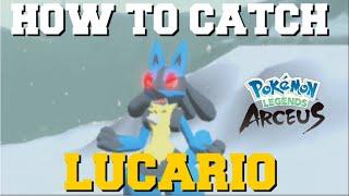 HOW TO CATCH LUCARIO IN POKEMON LEGENDS ARCEUS (ALPHA LUCARIO LOCATION)