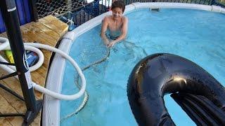 KIDS swimming with a LETHAL SNAKE in the Pool