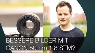 Canon 50mm 1 8 STM I Festbrennweite für wenig Geld I REVIEW