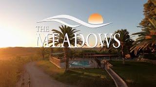 Overview of The Meadows: Treatment for Addiction, Trauma, and Mental Health Issues