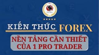 Kiến Thức Forex 1: Nền Tảng Cần Thiết Của 1 Pro Trader