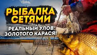 Рыбалка сетями! Реальный улов золотого карася!