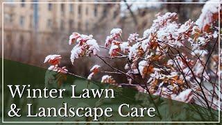 Winter Lawn Care Tips | Winter Landscape Care Tips | Winter Landscaping Care  | Winter Tree Care