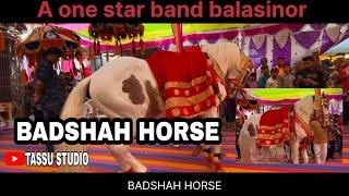 Badshah Horse khokharvada || A One Star Band Balasinor in salun