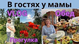 VLOG:Утренняя прогулка/Вкусный обед у мамы/Плавец Дженго/Всё идёт из семьи/Немного о нас