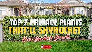 Top 7 Privacy Plants That'll Skyrocket Your Garden's Growth 