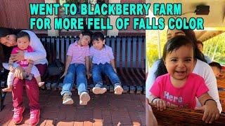 WENT TO BLACKBERRY FARM FOR MORE FELL OF FALLS COLOR