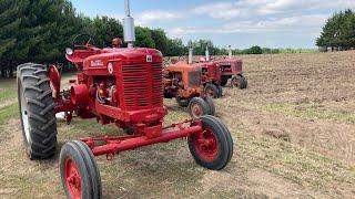 Let's Go Plowing! This Old Farm Plow Day 2022 - Farmall Super M, Super C, H & Case SC Turning Ground