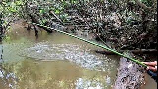 SUNGAI NYA SURUT||IKAN BESAR NYA SEMAKIN GANAS MAKAN UMPAN PANCING MAS BROO...