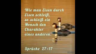 Weisheitsspruch